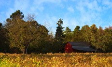 开云体育入口-天山脚下掀翻黄蜂，塔图姆关键一击背后的篮球哲学