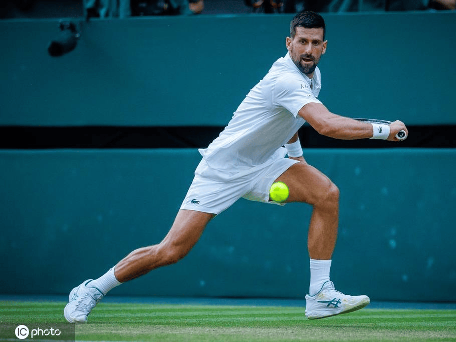 拉沃尔杯逆转ATP总决赛，德约科维奇点燃赛场的简单介绍