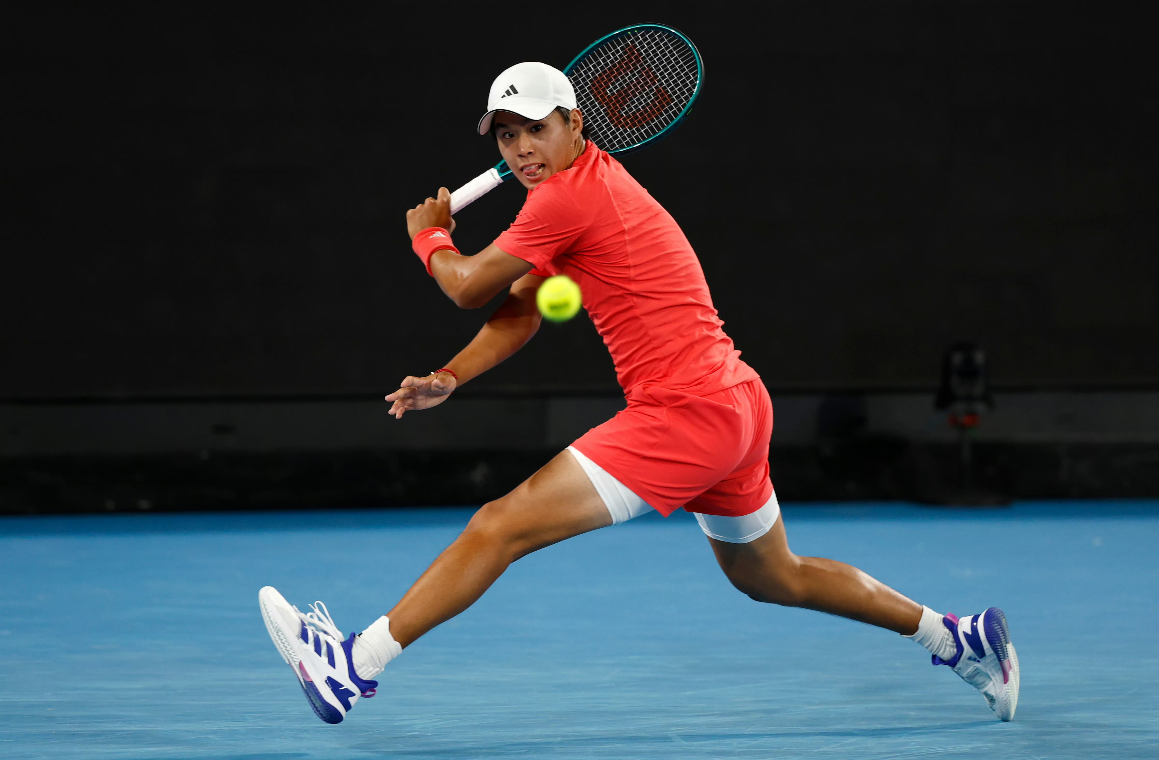 拉沃尔杯碾压澳网，梅德韦杰夫关键制胜的简单介绍