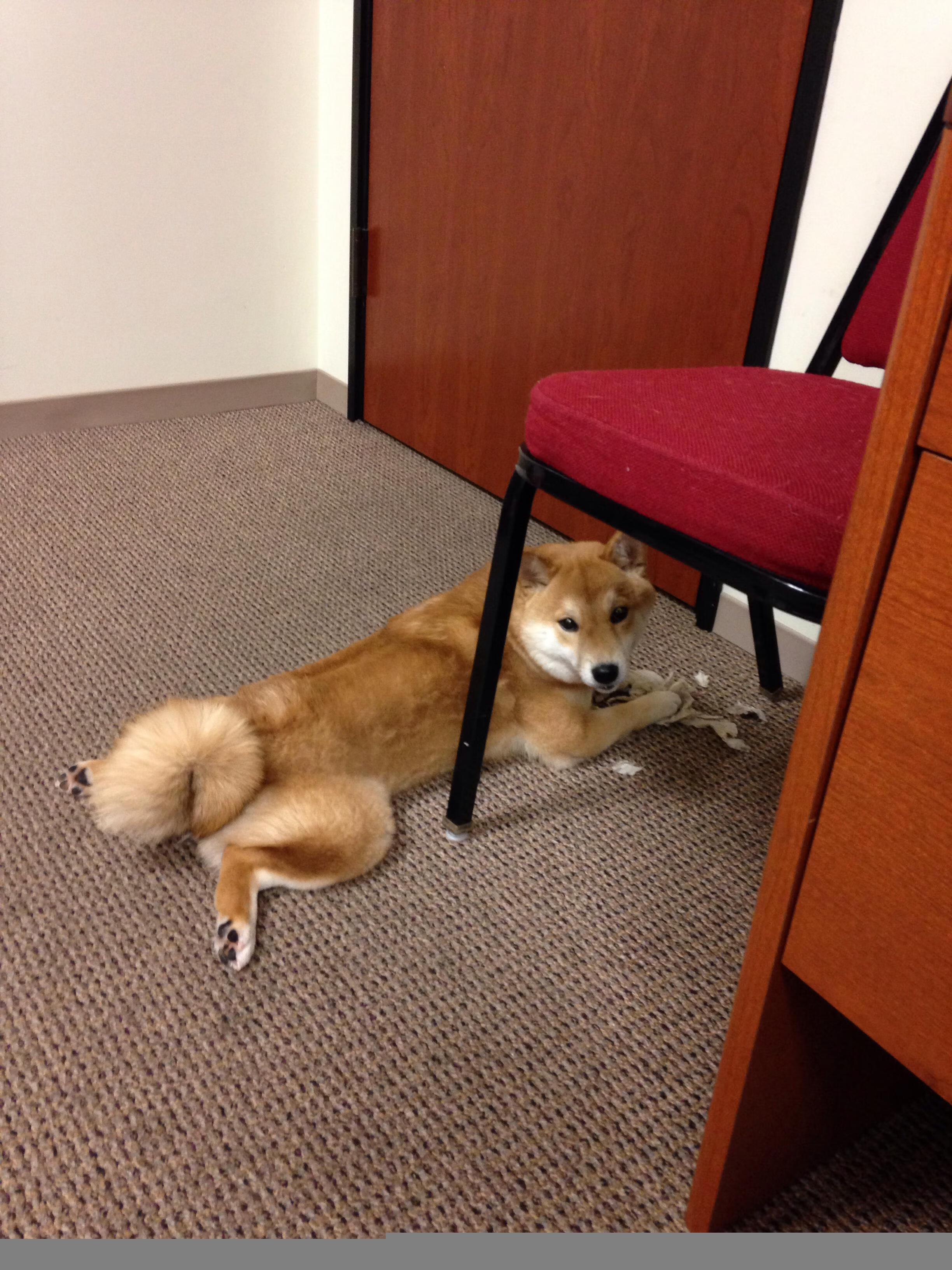 安哥拉单节拉开切尔西，门迪关键回合不手软—非洲铁闸如何定义现代门将的大心脏