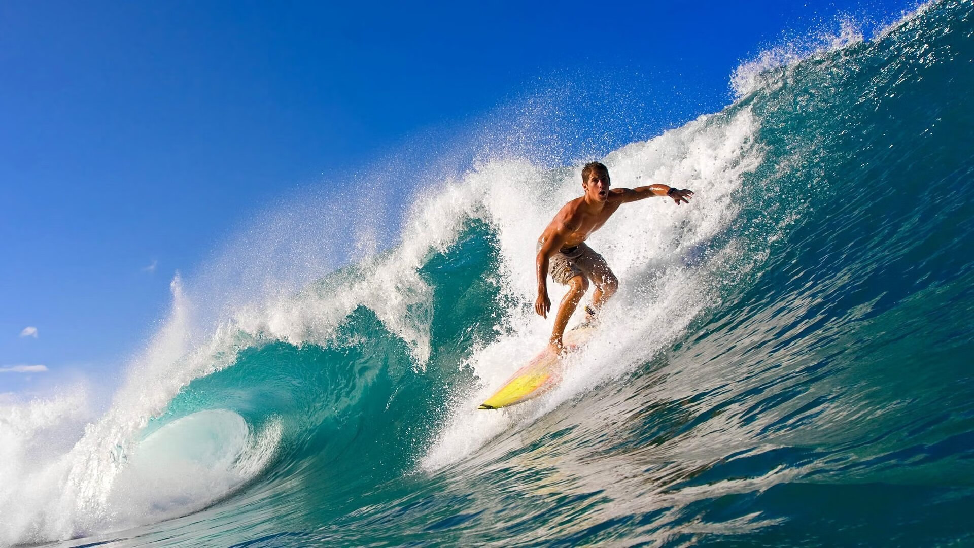 芝加哥的寂静与轰鸣,武切维奇的抢七之夜